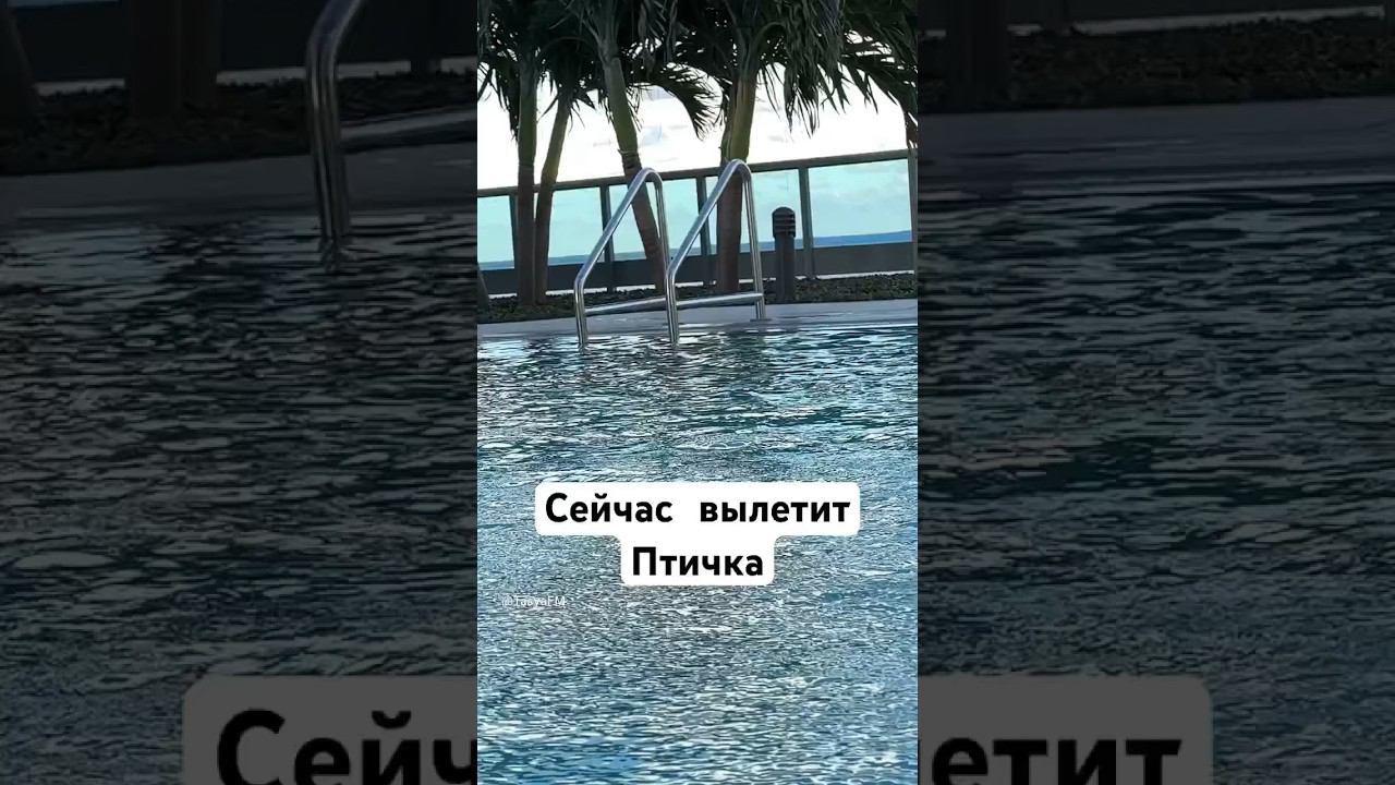 Таисия и Бассейн #miamibeach