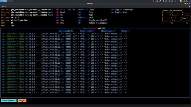 Use K9s para gerenciar seu cluster Kubernetes - Passo a passo | DevOps смотреть онлайн