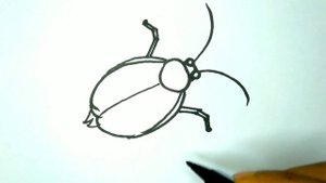 How To Draw a Cockroach||как нарисовать таракана||कॉकरोच कैसे आकर्षित करें