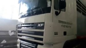 Закупка и перевозка крупного рогатого скота по России