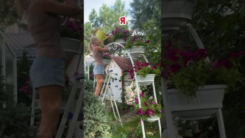 31 июля 2024 г.