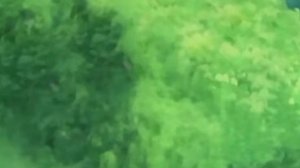 [Белый Змей #2] Орочимару СТАЛ Предателем Деревни?! | Альтернативный Сюжет Наруто