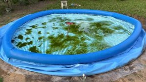Надувной бассейн Intex 457-91см Обслуживания, замена воды, чистка бассейна.