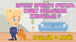 Почему принято считать кошку домашним животным? ЗНАЕМ САМИ!