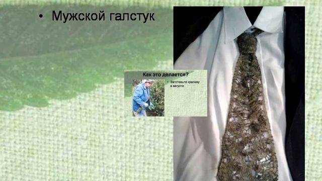 Заколдованная красота. Ручное кружево на коклюшках из крапивы. смотреть онлайн