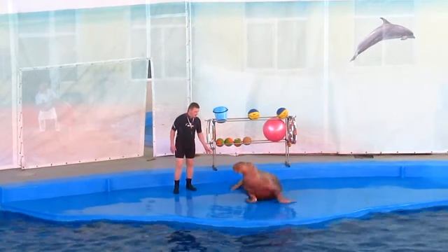 танец Бенедикта смотреть онлайн