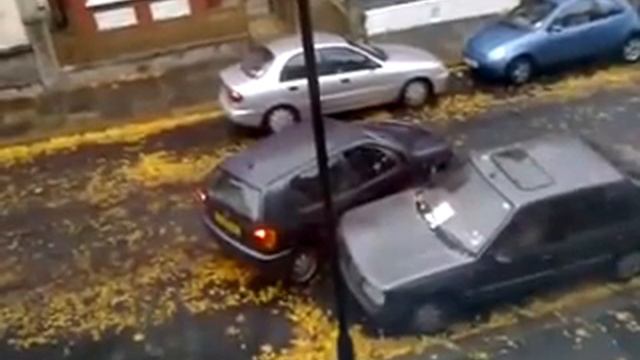 Funny Video of Parking fail by stupid girl смотреть онлайн