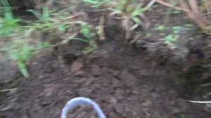 Ловля налима в сентябре в Московской области 19.09.2016