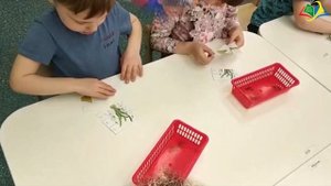 ?Первоцветы?