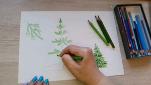 Ёлка. Рисунок акварельными карандашами.