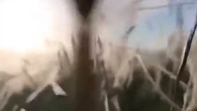 Счастье. Здоровье. Любовь.