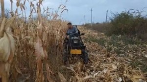 Самодельный комбайн для уборки кукурузы для минитрактора из мотоблока / Конец сезона 2018