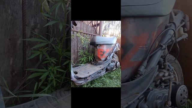 видео с ремонтом скоро будет больше, подпишись! #хонда#дио#скутер#работа#ремонт#рек