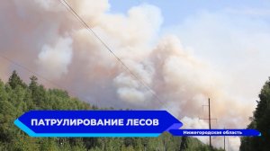 Из-за высокой пожароопасности в Нижегородской области идет постоянный мониторинг лесов