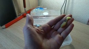 Осенние снасти на щуку и окуня