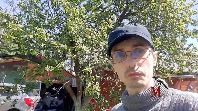 Отвечает ли Егорьевское шоссе реалиям современности? смотреть онлайн