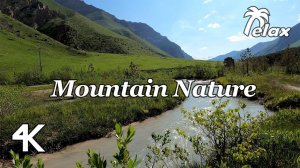 Relaxing sounds of Nature in a Mountain Reserve - Sleep and Relaxation