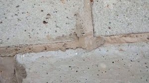 Опилко-бетонные блоки 10 лет спустя,что с ними стало