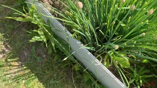 Полный обзор дачного участка, посадок. ???Показ дачных работ 17 июня 2023.??Ханты-Мансийск
