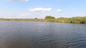 Рыбалка на Щуку на р. Луганка