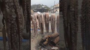 Осьминог на углях. Подача в испанском ресторане
