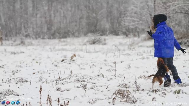До слез красивая мелодия! Лучшие мелодии на зиму трогают сердце Сергея Чекалина смотреть онлайн