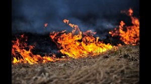 Как появился огонь (Австралийская сказка)