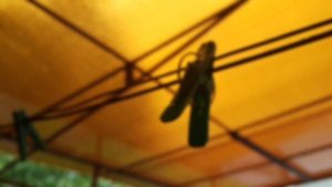 Как поставить на зид пилот двигатель от альфы, часть-1.