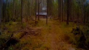 Пострадавшая избушка. Новая крыша избушки. Жизнь в тайге.Taiga