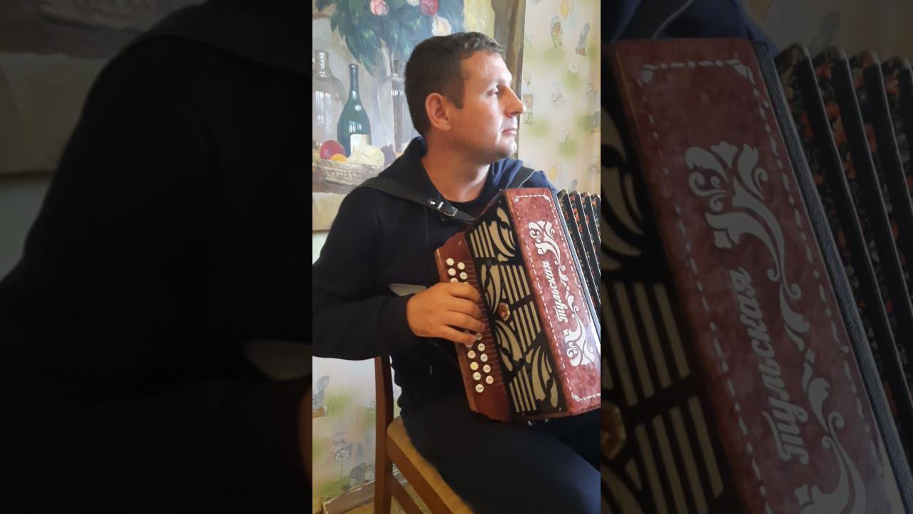 Одинокая ветка сирени на гармони . Играет мой ученик. смотреть онлайн