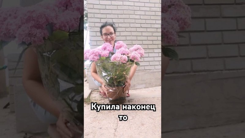 я её купила