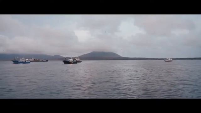 «Итуруп, Кунашир, Шикотан». Игорь Слуцкий
