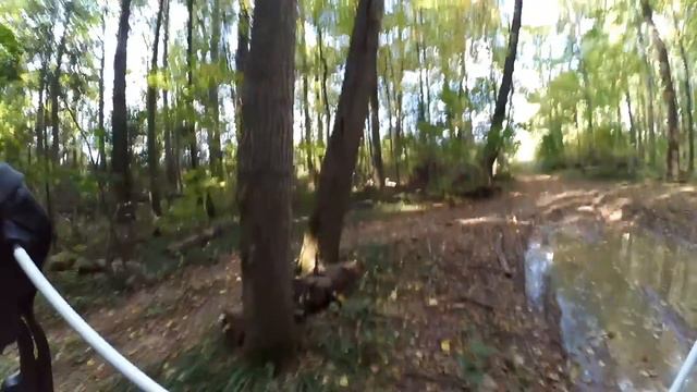 Всякая аномальщина смотреть онлайн