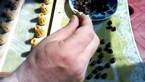 Джентерский сот, экспериментальная прививка на наклонное яйцо.