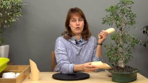4 помощника для работы с бонсай