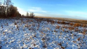 Таких зайцев ещё не было. Мутант великан. Охота в Челябинской области.