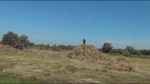 Мечем стога с сеном куном 1ч.
