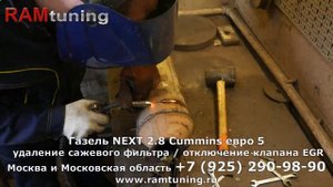 Неудачная попытка удаления сажевого фильтра на Газель Next Cummins euro5