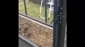 Теплица 66 - Датская теплица Juliana Compact