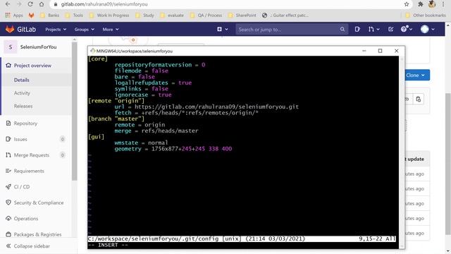 GitLab | HTTP Basic: Access denied | Update Git password
