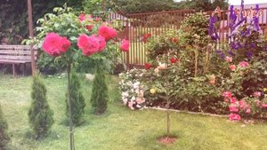 Как обустроить участок Лучшие идеи для вдохновения / How to arrange a plot Ideas for inspiration