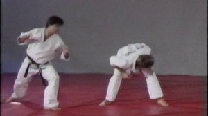 Хапкидо прикладная техника - мастер Фариборс Ажах