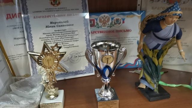 ЮАО, район Царицыно. Проект: Клуб «Живая старина»