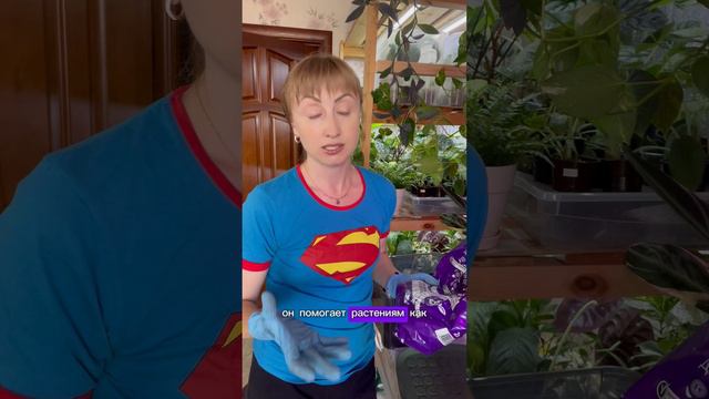 Уголь в грунт - для чего? Полезные добавки в грунт для комнатных растений