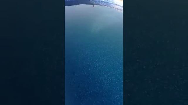 Овальный бассейн ЛАГУНА. Видео-отзыв клиента из города Арсеньев (Приморский край).