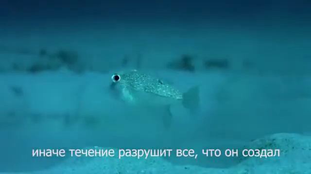 Любить - это глагол 💞 смотреть онлайн