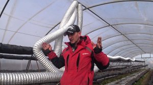 Дезинфекция ТЕПЛИЦ. ПЕРЕД НОВОЙ ПОСАДКОЙ.