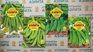 Выращивания гороха овощного.