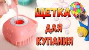 Реакция собаки на купание или нужна ли щетка для мытья собаки