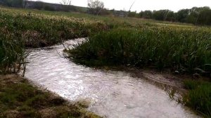 Сасовка-2 - родник (Воронежская об-ть, Репьевский район)